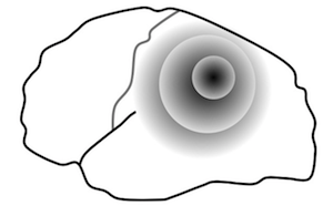 Glutamate metabolism at the synapse